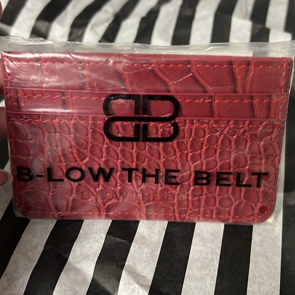 B-low the belt card case - Picture 2 of 3